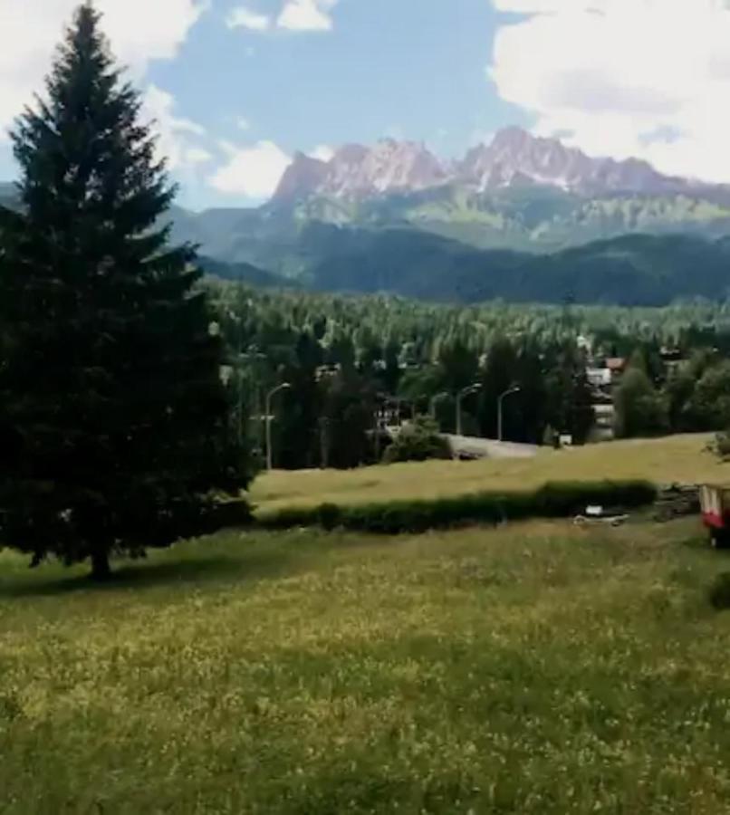Casa Vacanze Miramonti - Appartamento Con Balcone Con Vista Sulle Dolomiti Borca di Cadore Exteriér fotografie